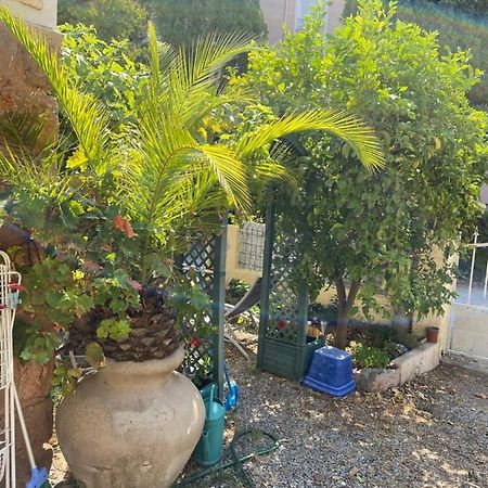 Jardin D'Eden Lejlighed Saint-Raphaël Eksteriør billede